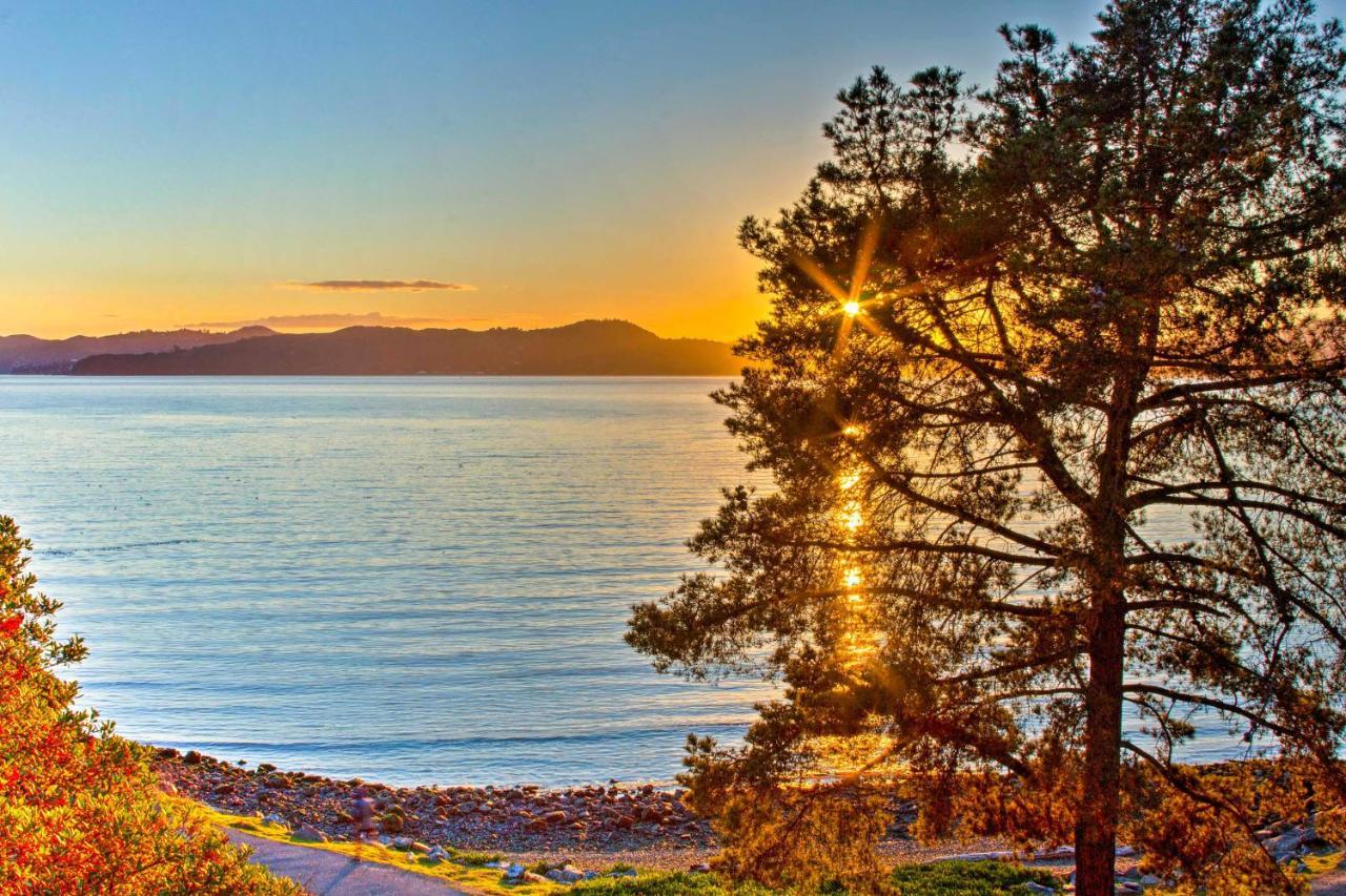 Luxury Studio With Hot Tub And San Francisco Bay Views ริชมอนด์ ภายนอก รูปภาพ